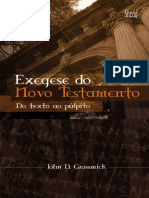 Exegese Do Novo Testamento Trecho