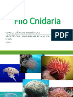 Aula 4 - Cnidaria