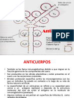 9 Anticuerpos