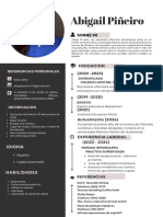 Simple Professional CV Resume