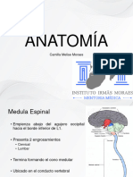 Anatomía Aula 02 2022