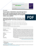 Extravasation of Epirubicin Chemotherapy From A Port-A-Cath Causing Extensive Breast Necrosis - Sequential Imaging Findings and Management of A Breast Cancer Patient