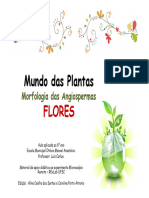 Apresentacao Flores