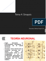 Clase 4 Sinapsis Act.