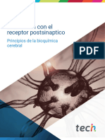 Neuropsicología - Interacción Con El Receptor Postsináptico.