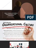 Aula 2. Conceito de Cultura Organizacional