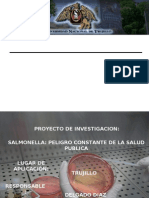 Proyecto Salmonella