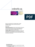 Bordetella SP Legonilla Lec 11 (Medical Bacteriology) - S4