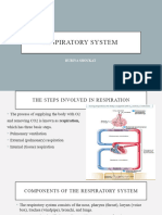 Respiratory System