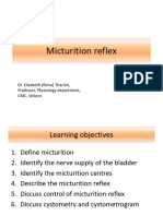 Micturition Reflex