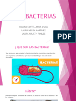 Lasnbacterias 80636d841f627b7