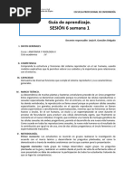 GA SESIÓN 6 Semana 15MAYO