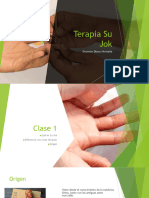 Curso Terapia Su Jok Básico PDF