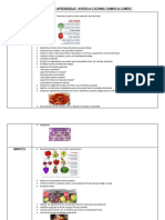 Agenda Semana 13