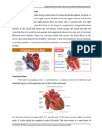 Biology For Engineers-Module 3 - Heart As A Pump System - Notes