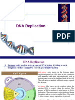 DNA Replication