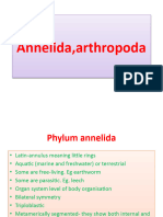 Annelida, Arthropoda