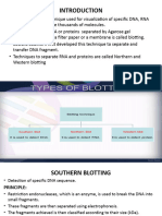 Blotting Techniques