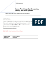 PHY2042 Human Cardiovascular Function Worksheet - KINU