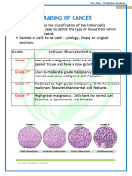 Complete Oncology by GS Medical Academy