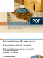 Leptospirosis