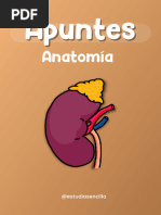 Apuntes de Anatomía - Acceso