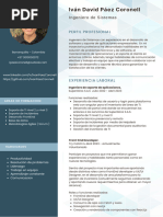 IvanPaez CV