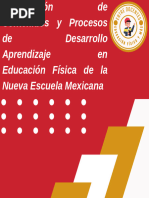 Contenidos y Pda Educación Física en La Nem