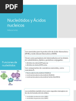 Clase 12 Nucleótidos BIOQUIMICA