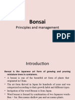 Bonsai