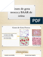 Gram de Gota Fresca y BAAR de Orina