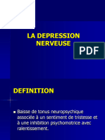 La Depression Nerveuse