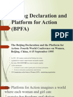 Lesson 8 Beijing Declaration and Platform For Action