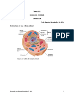 BIOLOGÃ A GENERAL-VIRTUAL 1er P