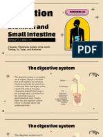 Digestion in The Stomach and Small Intestine