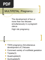 Twin Pregnancy