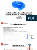 Nervous and Endocrine System