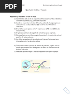 Ejercitación Genética y Herencia