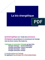 Bio Énergétique - Cours