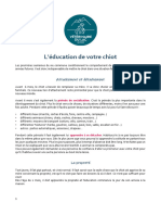 Fiche Education Du Chiot