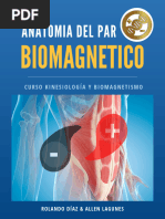 Anatomia Biomagnetismo