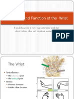 Kinesiology Wrist