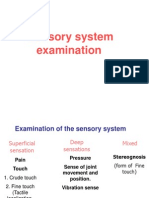 Sensory System