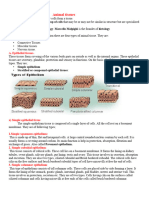 Animal Tissues Final