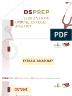 Ocular - Orbit Anatomy Rev