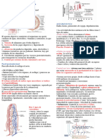 Fisiología 2