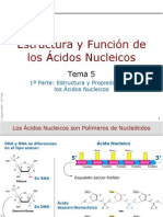 Estructura y Funcion de Los Acidos Nucleicos