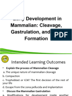 Early Development in Mammalian Cleavage Gastrulation and Axis Formation