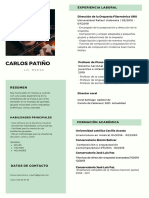 Carlospatiño CV Musica