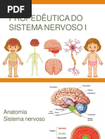 Aula Número 12 - Propedêutica Do Sistema Nervoso I - 2024-1